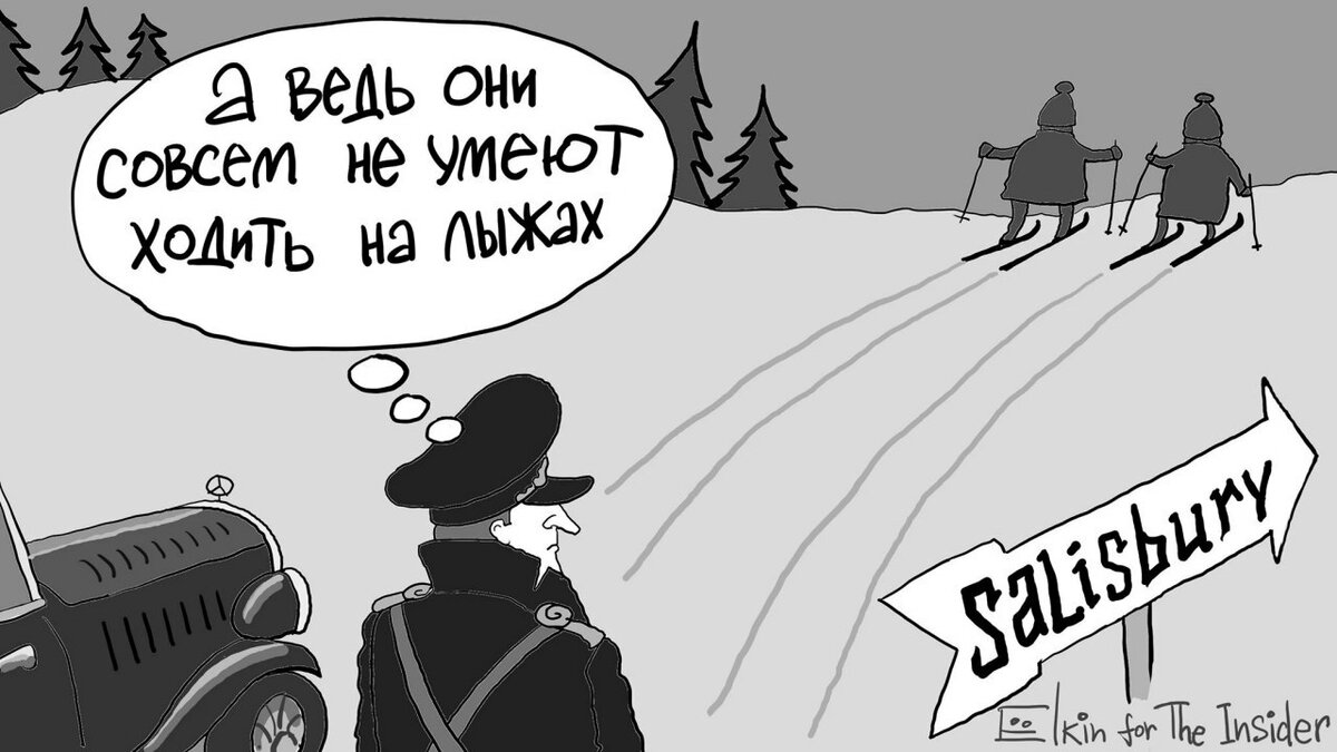 Петров и Боширов карикатуры